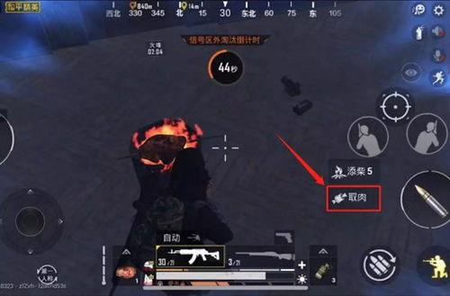 和平精英最新版本大爆料,全新内容大曝光,战局再升级! 第3张 和平精英最新版本大爆料,全新内容大曝光,战局再升级! 第3张